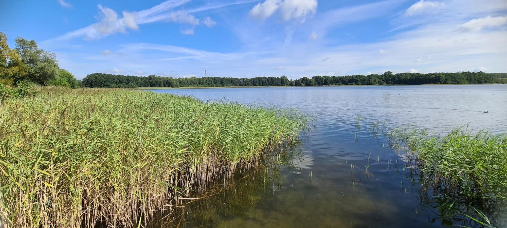 Ferienhof Am Kaebelicksee Kratzeburg エクステリア 写真